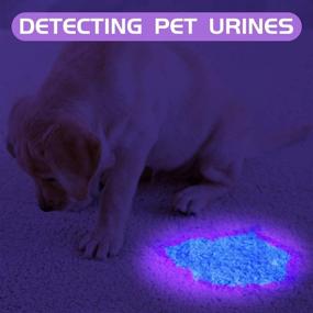 img 3 attached to 🔦 Delxo 2 Pack UV Flashlight: Detect Pet Urine Stains, Bed Bugs, Scorpions, and Fluorescent Agents with 21 LED Black Light 395nm