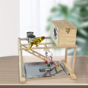 img 3 attached to 🦜 Kathson Wooden Bird Play Stand Gym Playpen for Parrots - Ideal for Conure, Cockatiel, Lovebirds - Includes Climb Ladder, Chewing Toys & Parakeet Nesting Box - Fun Activity Exercise Center at Parrot Playground