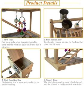 img 2 attached to 🦜 Kathson Wooden Bird Play Stand Gym Playpen for Parrots - Ideal for Conure, Cockatiel, Lovebirds - Includes Climb Ladder, Chewing Toys & Parakeet Nesting Box - Fun Activity Exercise Center at Parrot Playground