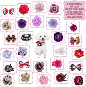 img 2 attached to Pooch Outfitters Extravagant Dog Collars & Collar Accessories: A Vast Range of 🐶 Elegant Collars, Floral Collar Adornments, and Stylish Sliders to Complement Every Style, Mood, and Occasion