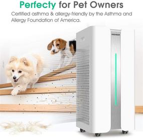 img 1 attached to 🌬️ Gocheer Air Purifier CADR 1000 for Large Room | Covers 2500 Sq ft | Dual Drive 4-in-1 H13 True HEPA Filters | Smart Air Cleaner for Home | Eliminate Smoke, Dust, Pollen, Mold, Pet Dander, Allergens, Gases