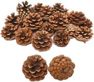 🌲 timoo 24pcs bulk natural pinecones: diy crafts, christmas tree & fall thanksgiving home decor логотип