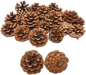 img 4 attached to 🌲 Timoo 24pcs Bulk Natural Pinecones: DIY Crafts, Christmas Tree & Fall Thanksgiving Home Decor