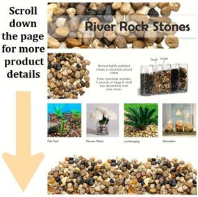 img 3 attached to Premium 2lb River Rocks for Glass Vases, Aquariums, and Terrariums – Natural Polished Mixed Color Stones to Elevate Aesthetics