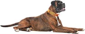 img 3 attached to 🚫 Dexil Limited NO Dogs Orange Coded Buckle Dog Collar (S-M L-XL) - Prevent Accidents by Warning Others of Your Dog's Incompatibility