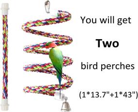 img 3 attached to 🐦 Petsvv Bird Toy with Rope Bungee Bird Perch