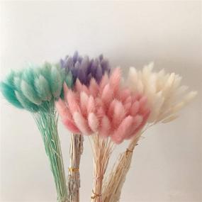 img 1 attached to 🌾 50PCS Lagurus Ovatus Rabbit Tail Dried Flowers for Home Decor, Real Eternal Flower Bouquets with Dried Grass, Photo Props for Weddings and Parties