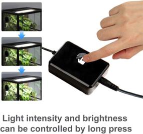 img 2 attached to 🦎 REPTI ZOO Reptile Aquarium Terrarium LED Light: Ultra-thin Day and Night Light for Optimal Reptile Habitat - 3-Color Modes, 15W LED Light Hood for 18 inch or Larger Terrariums with Reptile Plant Fish Tank