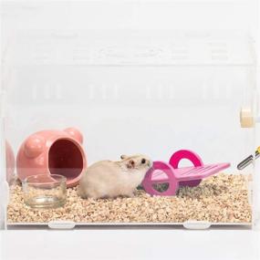 img 3 attached to 🐹 Dwarf Hamster Toys: Complete Set of 6 DIY Accessories for Exercise and Entertainment - Wooden House Hideout, Triangle Platform, Rainbow Bridge, Swing Seesaw - Ideal for Syrian Hamsters, Gerbils, Mice, and Sugar Gliders