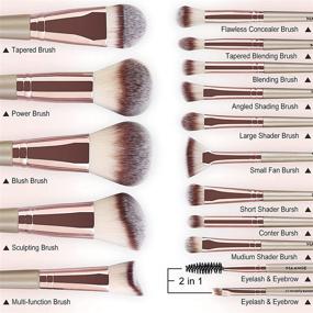 img 3 attached to 🍾 Champagne MAANGE Makeup Brushes Set - 15 Professional Synthetic Brushes for Foundation, Contour, Concealer, Blush, Powder, Including 1 Makeup Sponge & 1 Brush Cleaner