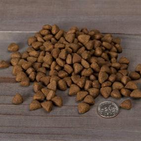 img 2 attached to Nulo Single Protein Grain-Free Kibble for Small Breeds - Limited Ingredient Premium Dog Food