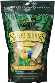 img 4 attached to Lafebers Gourmet Tropical Nutri Berries Parrots