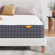 mattress sweetnight pressure balanced mattresses логотип