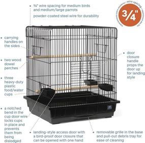 img 3 attached to 🐦 Spacious and Stylish: Prevue Hendryx Square Roof Parrot Cage, Black - Ideal for Your Feathered Friend (SP25217B/B)