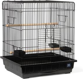 img 4 attached to 🐦 Spacious and Stylish: Prevue Hendryx Square Roof Parrot Cage, Black - Ideal for Your Feathered Friend (SP25217B/B)