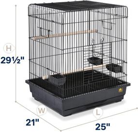 img 2 attached to 🐦 Spacious and Stylish: Prevue Hendryx Square Roof Parrot Cage, Black - Ideal for Your Feathered Friend (SP25217B/B)