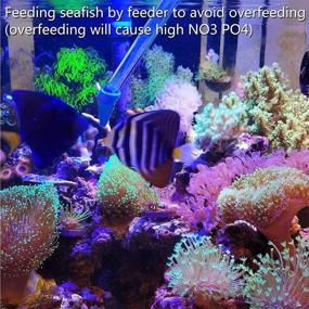 img 1 attached to 🐠 Aquarium Choice Coral Feeder and Tweezers Bundle: Long Syringe Tube Liquid Fertilizer Feeder for SPS HPS Marine Reef Coral, Fish Excreta Cleaner - 2 Units of Each!