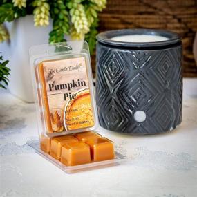 img 1 attached to The Candle Daddy Pumpkin Pie Scented Wax Melt - 2 oz - 6 Cubes - 1 Pack for Enhanced SEO