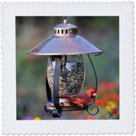 northern cardinal on copper lantern hopper bird feeder 🐦 - marion county, il | 3drose quilt square, 12x12-inch (qs_208643_4) logo