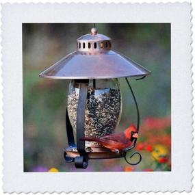 img 1 attached to Northern Cardinal on Copper Lantern Hopper Bird Feeder 🐦 - Marion County, IL | 3dRose Quilt Square, 12x12-inch (qs_208643_4)