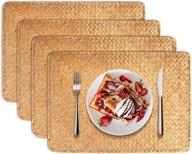 ruosuruosu placemats waterproof rectangular 17x12inches logo