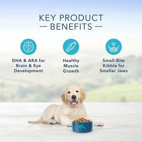 img 1 attached to 🐶 Blue Buffalo Life Protection Formula Natural Puppy Dry Dog Food: Nourishing Nutrition for Happy Puppies