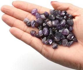 img 3 attached to 🔮 1 lb Amethyst Small Tumbled Chips Crushed Stone Healing Reiki Crystal Chakra Stone for Home Decoration, Vase Fillers, Plants, Flower Pots & Decor by KINGYAO