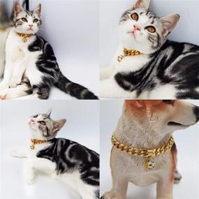 img 3 attached to 🐾 18K Gold Cat and Dog Collar: Puppy and Kitten Collar with Wide Stainless Steel Curb Chain, Chew-Proof Cuban Link, and Clover Bell - 1/2 inch Width