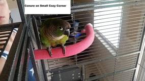 img 3 attached to Enhance Your Pet Bird's Comfort with Polly's Cozy Corner Bird Perch, X-Large