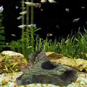 img 1 attached to 🐠 Decaying Trunk Aquarium Ornament, Betta Fish Hideout, Small Resin Log Decoration for Freshwater – Ideal for 20 Gallon Fish Tanks with Holes and Hideout Caves