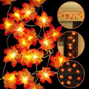 img 4 attached to 🍁 Ivenf 10ft 20 LED Maple Leaf String Lights: Stunning Thanksgiving Decor for Indoor & Outdoor Autumn Theme Party Supplies & Gifts