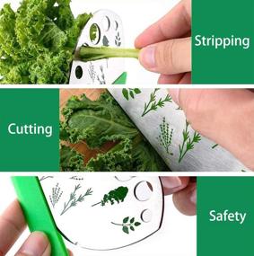 img 2 attached to 🌿 Stainless Steel Herb Stripper with Safety Cover - Pack of 2, 9-Hole Leaf Cutter for Kitchen Herbs like Kale, Chard, Collard Greens, Thyme, Basil, Rosemary - Effective Herb Stripping Tool