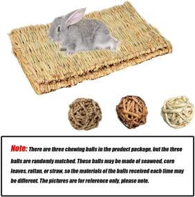 img 3 attached to 🐰 Tfwadmx Large Natural Woven Seagrass Mat, 16.5"x11" Bunny Bed Chew Mat Sleep for Chinchillas Guinea Pigs Ferret Guinea-Pig and Small Animals - Pack of 2