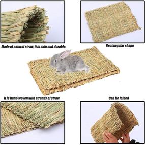 img 1 attached to 🐰 Tfwadmx Large Natural Woven Seagrass Mat, 16.5"x11" Bunny Bed Chew Mat Sleep for Chinchillas Guinea Pigs Ferret Guinea-Pig and Small Animals - Pack of 2