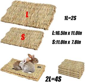 img 2 attached to 🐰 Tfwadmx Large Natural Woven Seagrass Mat, 16.5"x11" Bunny Bed Chew Mat Sleep for Chinchillas Guinea Pigs Ferret Guinea-Pig and Small Animals - Pack of 2