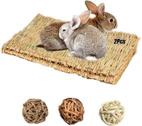 img 4 attached to 🐰 Tfwadmx Large Natural Woven Seagrass Mat, 16.5"x11" Bunny Bed Chew Mat Sleep for Chinchillas Guinea Pigs Ferret Guinea-Pig and Small Animals - Pack of 2