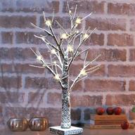 🎄 bright zeal 1-pack 18" tall lighted birch christmas tree with faux snow and 24 warm white led bulbs - tabletop white birch tree lamp birch snow tree indoor - led birch tree light up tabletop decor логотип