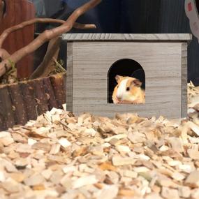 img 1 attached to Wooden Guinea Pig House with Window - Small Animal Hut Hideout - Natural Habitat Cage for Guinea Pigs, Hamsters, Chinchillas