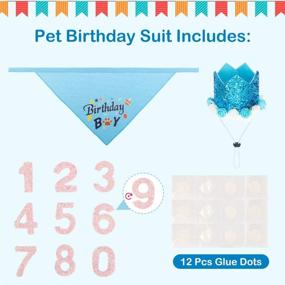 img 2 attached to 🎉 Adjustable Dog Birthday Bandana & Hat Set - Hat with Numbers Triangle Scarf for Cute Party Decorations, Ideal Supplies for Medium Small Dogs Cats and Puppies