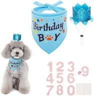 🎉 adjustable dog birthday bandana & hat set - hat with numbers triangle scarf for cute party decorations, ideal supplies for medium small dogs cats and puppies логотип