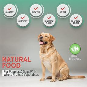 img 1 attached to Optimal Nutrition for Dogs: Health Extension Grain Free Dry Dog Food - Buffalo & Whitefish Recipe