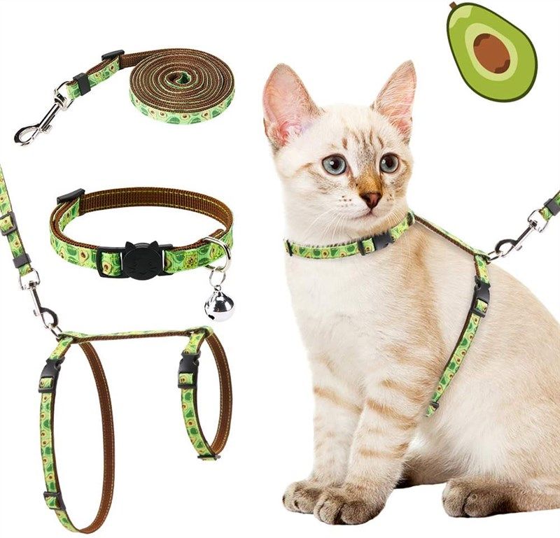 pawchie cat harness leash collar 로고