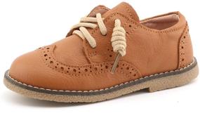 img 4 attached to 👟 CCTWINS KIDS Toddler Leather G9771 Brown 27 Boys' Shoes: Stylish & Comfy Footwear for Active Toddlers