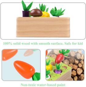 img 1 attached to Toddlers Montessori Vegetables Harvest Educational
