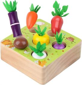 img 4 attached to Toddlers Montessori Vegetables Harvest Educational