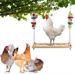 img 1 attached to 🐔 ERKOON Chicken Swing Ladder: Natural Wooden Perch and Coop Toy for Hens, Parrots, and Small Birds