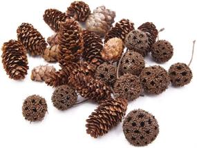 img 3 attached to 🌲 Apol Total 200 Pcs Natural Mini Pinecones Maple Fruit Ornaments Set - Ideal for Vase Fillers, Photo Props, DIY Home House Christmas Decoration Crafts