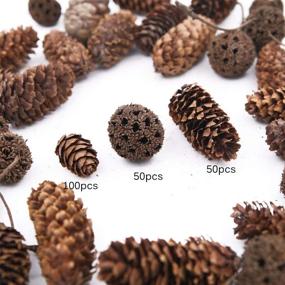 img 1 attached to 🌲 Apol Total 200 Pcs Natural Mini Pinecones Maple Fruit Ornaments Set - Ideal for Vase Fillers, Photo Props, DIY Home House Christmas Decoration Crafts