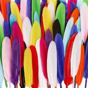 img 2 attached to 🎨 Coceca 240pcs Colorful Goose Natural Feathers for DIY Crafts - Vibrant 4-6 Inch Feather Pack
