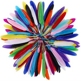 img 1 attached to 🎨 Coceca 240pcs Colorful Goose Natural Feathers for DIY Crafts - Vibrant 4-6 Inch Feather Pack